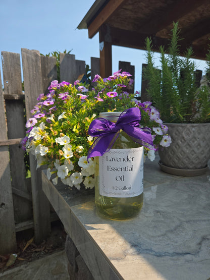 Lavender Essential Oil – 1/2 Gallon, Locally Sourced in WA