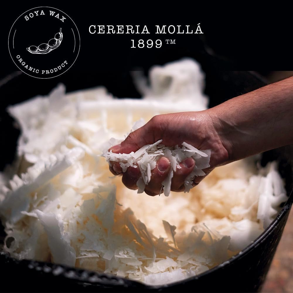 Cereria Molla Velvet Wood XL Scented Candle in Glass image 4